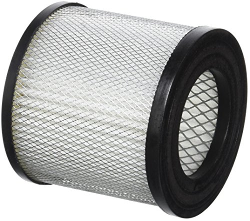 GreenStar 14082 Filter for Vacuum CleanerAsh Vacuum Black